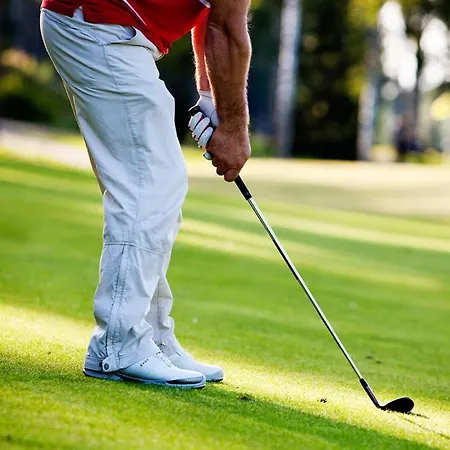 De Maasparel آرسين