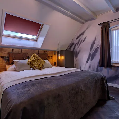 De Maasparel فندق