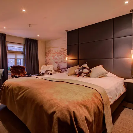 De Maasparel فندق