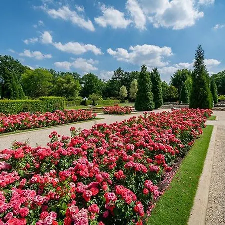 ホテル De Maasparel