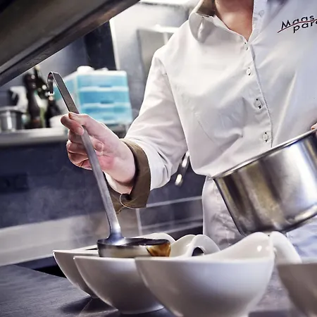 De Maasparel - Venlo 4* Arcen