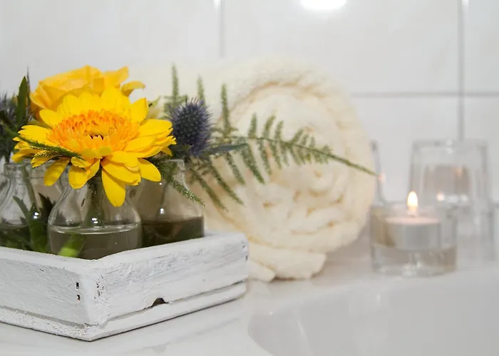 Hotel De Maasparel Arcen